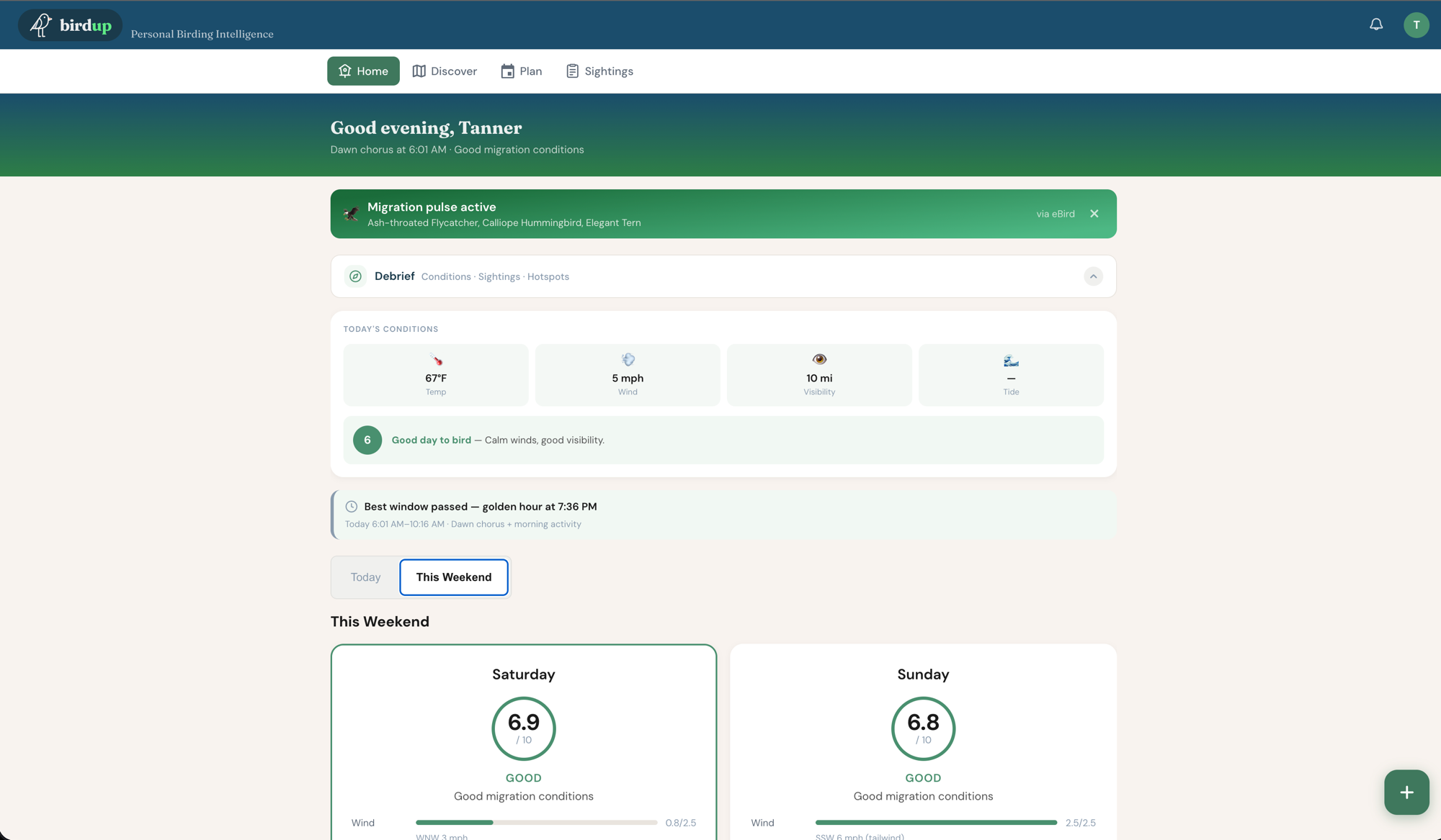 BirdUp screenshot